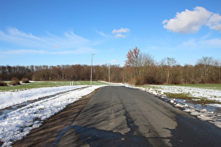 … Blick nach Norden zum Ahlemer Holz …