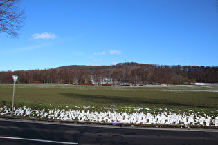 zwischen Everloh und Northen, Blick zum Gipfel des Benther Berges, …