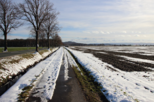 zwischen Lenthe und Harenberg, Blick nach Süden