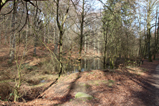 der Blanketeich