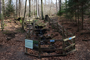 und Blick auf den Zufluss zum Bruchbach – ohne Gedöns