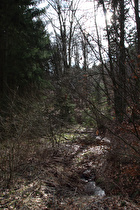 der Bruchbach weiter oben, Blick flussaufwärts …