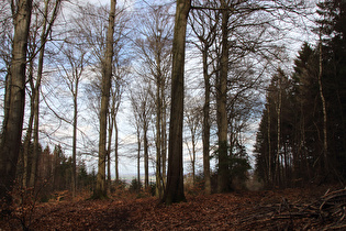 unterhalb Feldberg, Blick nach Nordosten