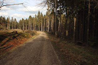 oberhalb Feldberg, Blick bergab …