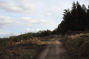 weiter oben, Blick zum „Deister Nordblick“ …