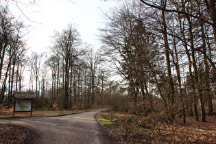 Reinekensiekskopf, Blick nach Nordwesten