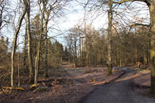 Blick vom Nordmannsturm nach Nordosten