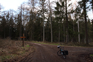 Kammweg, Abfahrt nach Barsinghausen