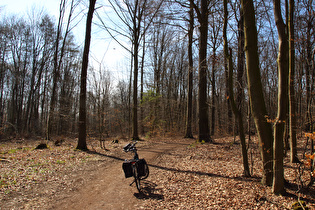 Benther Berg, erster Sattelpunkt der Tour