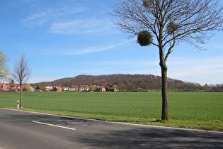 südlich von Everloh, Blick zum Benther Berg