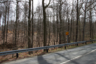 Nienstedter Pass, Nordostrampe, Ortsrand von Egestorf, Blick bergauf