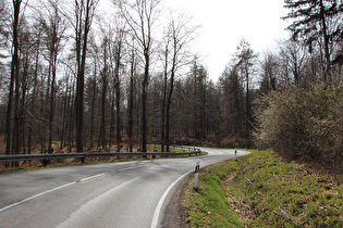 kurviger Bereich weiter oben, Blick bergauf