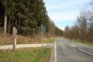 kurvenarmer Bereich noch weiter oben, Blick bergab