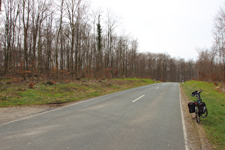 vierter Sattelpunkt der Tour zwischen Nienstedt und Messenkamp, Blick nach Westen