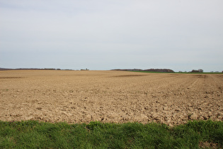 … Blick nach Osten auf „Braune Idylle“ …