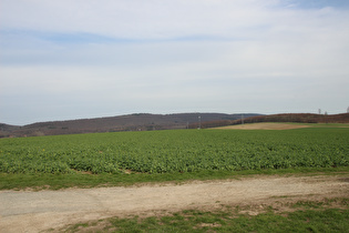 … und Blick auf Höfeler und Bröhn im Deister