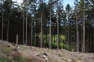 weiter oben, Blick über das Fuchsbachtal nach Nordwesten …