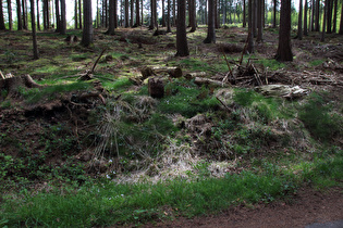 etwas weiter, Blick Richtung Deisterkamm