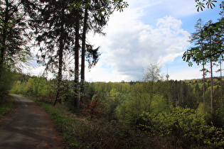 Blick zum Fernmeldeturm Barsinghausen auf dem Großen Hals