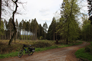 Blick nach Nordosten