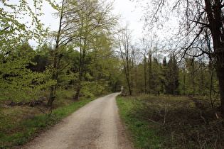 Blick nach Südosten