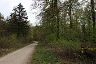 Blick zum Reinekensiekskopf