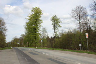 Nienstedter Pass, Blick nach Osten …