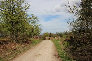 Hohe Warte, Blick nach Nordosten