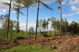 weiter oben, Blick nach Norden