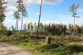 noch weiter oben, Blick nach Norden …