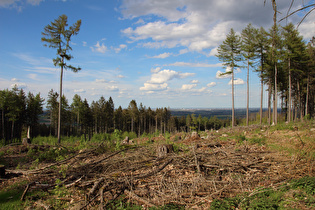 … und Blick nach Nordosten