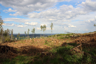 … und Blick über den Süllberg nach Osten