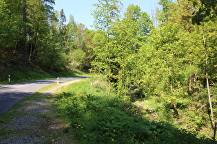 der Forstbach im Hooptal, Blick flussabwärts …