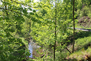 … und Blick flussaufwärts