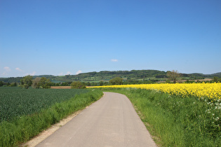 zwischen Negenborn und Golmbach, Blick zur Rühler Schweiz, …