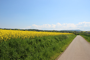 … und Blick zur Klosterkirche Amelungsborn und zum Holzberg