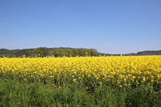 Blick auf Holenberg und den Vogler