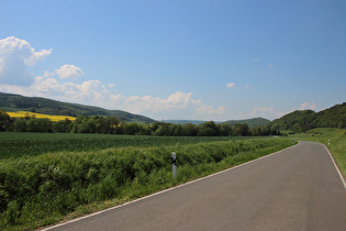 Forstbachtal zwischen Golmbach und Warbsen, Blick talabwärts