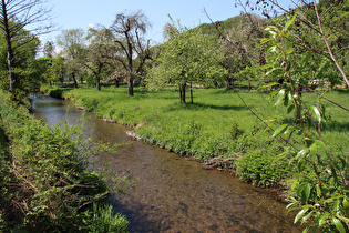 der Forstbach in Warbsen, Blick flussabwärts