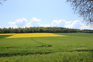 … und Blick nach Süden