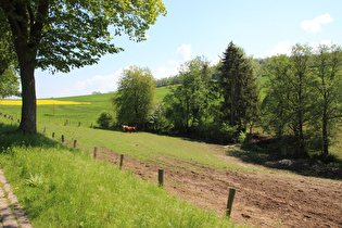 Westrampe, Blick Richtung Passhöhe