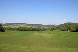 zwischen Reileifzen und Weserfähre Polle, Blick zu den Weserklippen bei Steinmühle