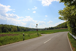 L426 zwischen Polle und Meiborssen, Blick auf Birkenhagen