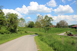 eine Kehre in Meiborssen