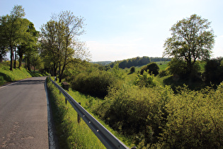 zwischen Ottenstein und Glesse, Blick bergab …