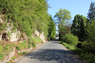 in Glesse, Blick nach Süden …