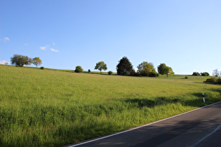 eine Bergwiese bei Neersen …