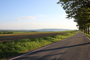 Abfahrt nach Kleinenberg, Blick zum Schwalenberger Wald …