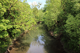 die Leine, Blick flussabwärts …