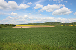 … und Blick zur Stroiter Mühle und die Hohe Egge im Selter